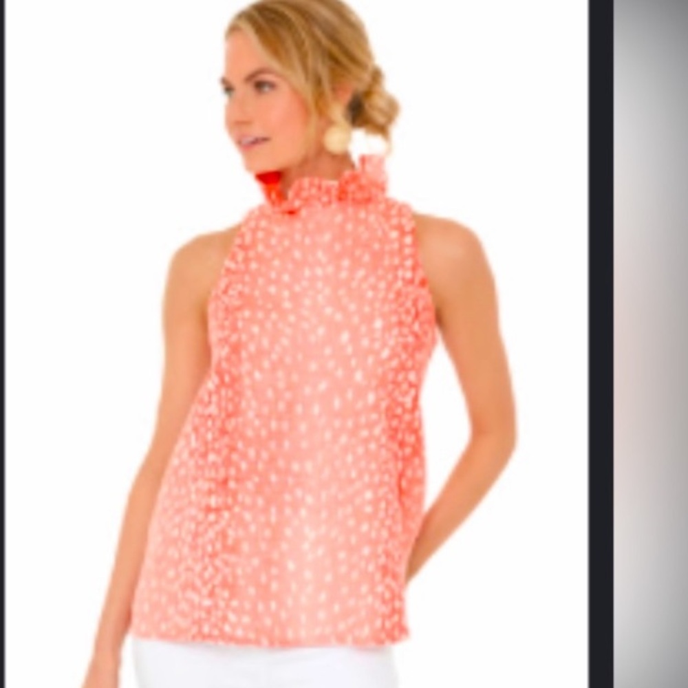 Tuckernuck XS Peach Blouse